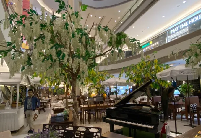 เกสรวิลเลจชวนสัมผัสเทศกาลขนมจีนที่ ‘ร้านโพรวองซ์’ พบหลากหลายตำรับขนมจีนทั่วสารทิศ
