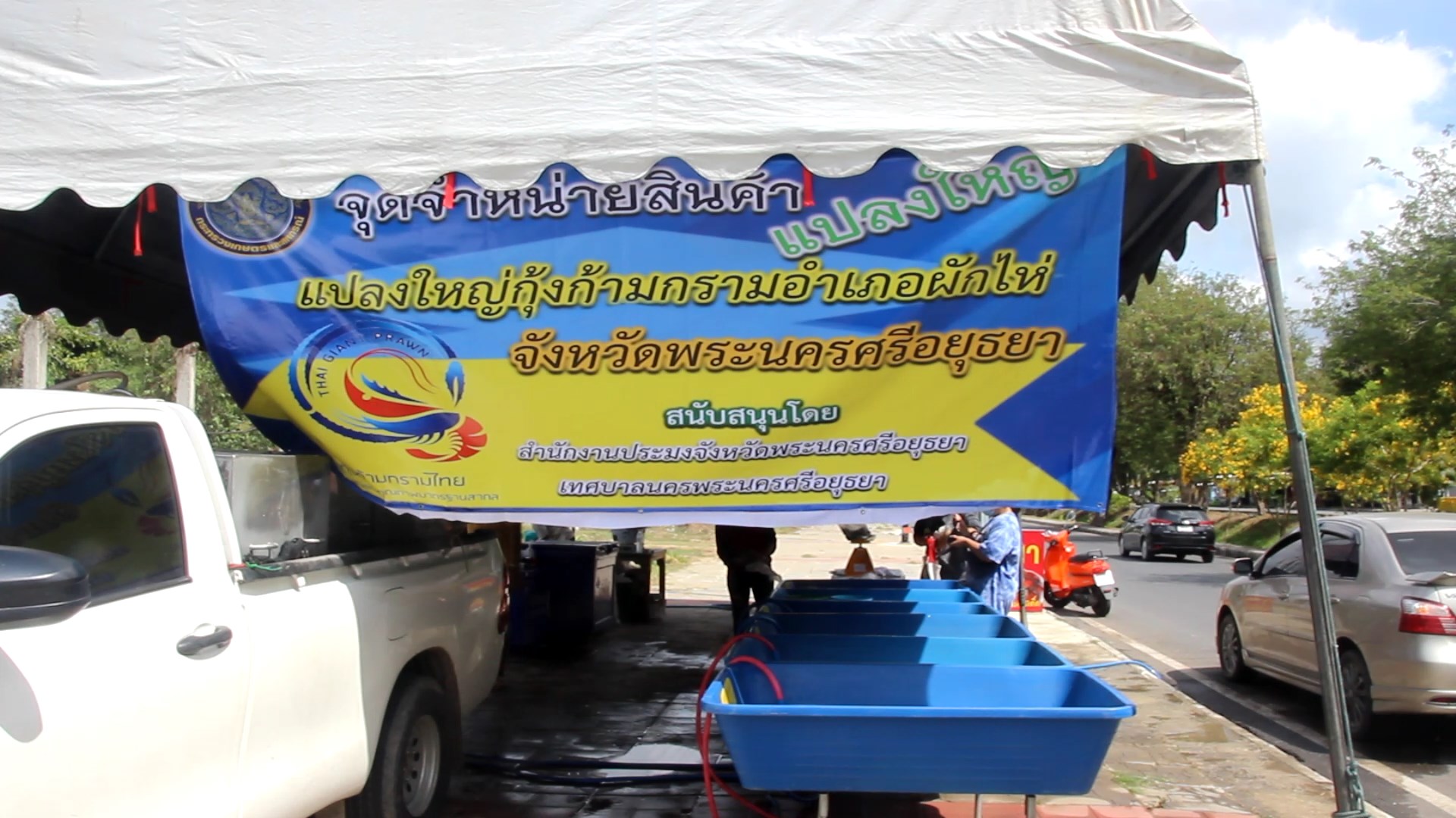 ประมงจังหวัดพระนครศรีอยุธยา ออกเยี่ยมให้กำลังใจ  เกษตรกรแปลงใหญ่กุ้งก้ามกราม อ.ผักไห่ เปิดจุดจำหน่ายกุ้งราคาถูก