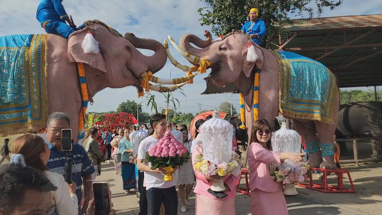 ฮือฮาวังช้างอยุธยา แล เพนียด  จัดวิวาห์ช้างแฝดชื่อในหลวงพระราชทานแก้เคล็ด  นักท่องเที่ยวแห่ร่วมงานคับคั่ง