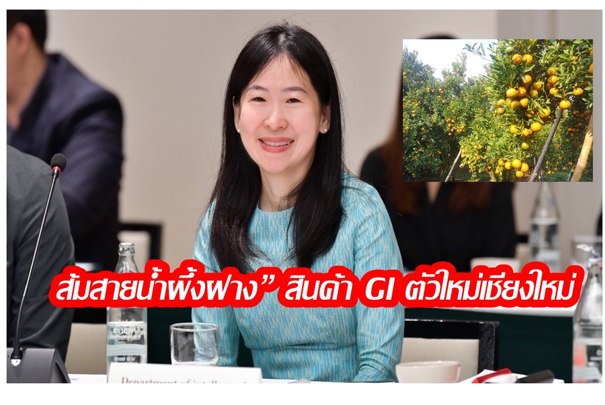 “ส้มสายน้ำผึ้งฝาง” สินค้า GI ตัวใหม่เชียงใหม่ รสชาติหวานอมเปรี้ยว กลิ่นหอม สร้างชื่อเสียงและรายได้ให้ชุมชนกว่า 270 ล้านบาท