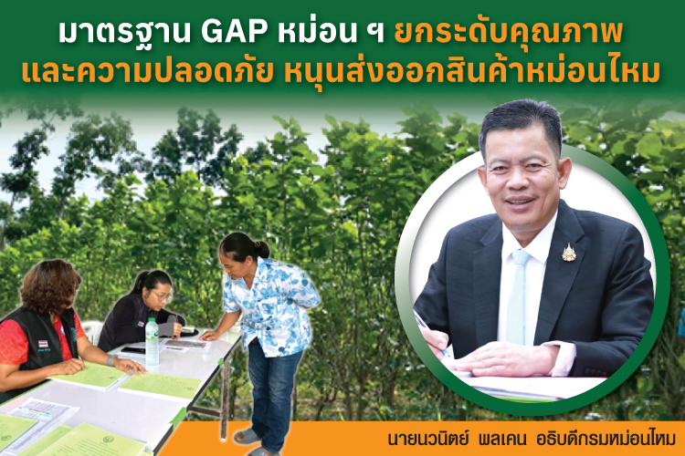 มาตรฐาน GAP หม่อน ฯ ยกระดับคุณภาพและความปลอดภัย หนุนส่งออกสินค้าหม่อนไหม