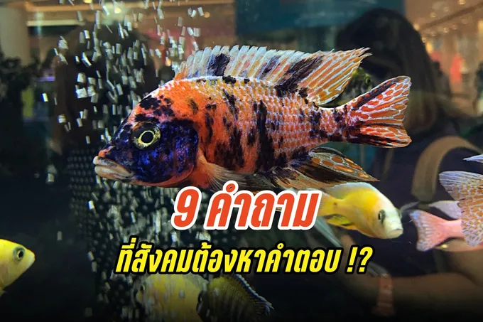 9 คำถามที่สังคมต้องหาคำตอบ !?