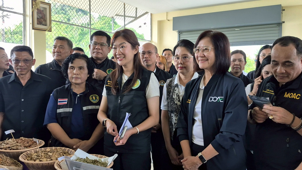 ชูโมเดล ‘ขมิ้นชันในกระสอบ’ นวัตกรรมเยอรมัน ยกระดับสมุนไพรไทยสู่มาตรฐานเภสัชกรรม