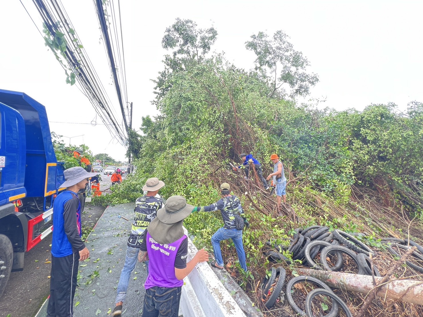 อุตุนิยมวิทยาคลองใหญ่ตราดมีฝนตกหนัก พายุลมแรงพัดต้นไทรอายุกว่า 50 ปี ล้มทับร้านข้าวแกงกลางดึก