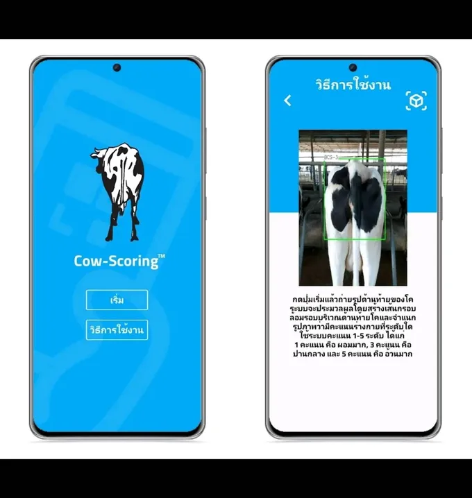 นวัตกรรม "Cow Scoring" แอปฯประเมินคะแนนร่างกายแม่โคนมด้วยระบบ AI