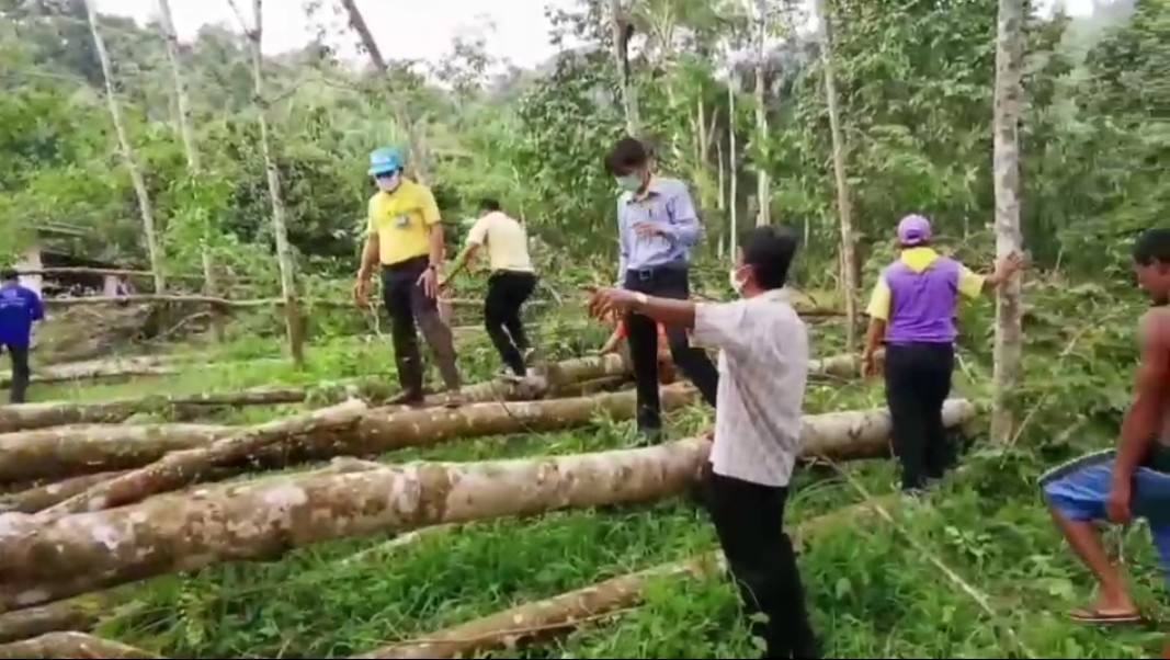 พายุหมุนฤดูร้อนพัดต้นยางพาราหักโค่นทับบ้านเรือน พ่อแม่ลูกวิ่งหลบใต้เตียง รอดตายหวุดหวิด