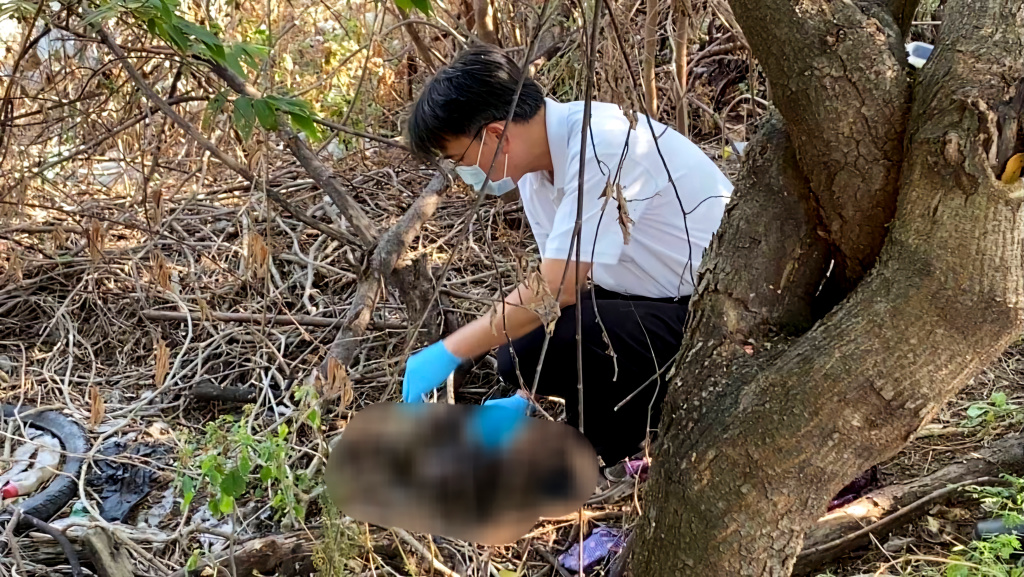ผงะ! สาวรับจ้างตัดหญ้าพบศพเด็กทารกเพศหญิงในป่าข้างทาง คาดถูกนำมาทิ้ง