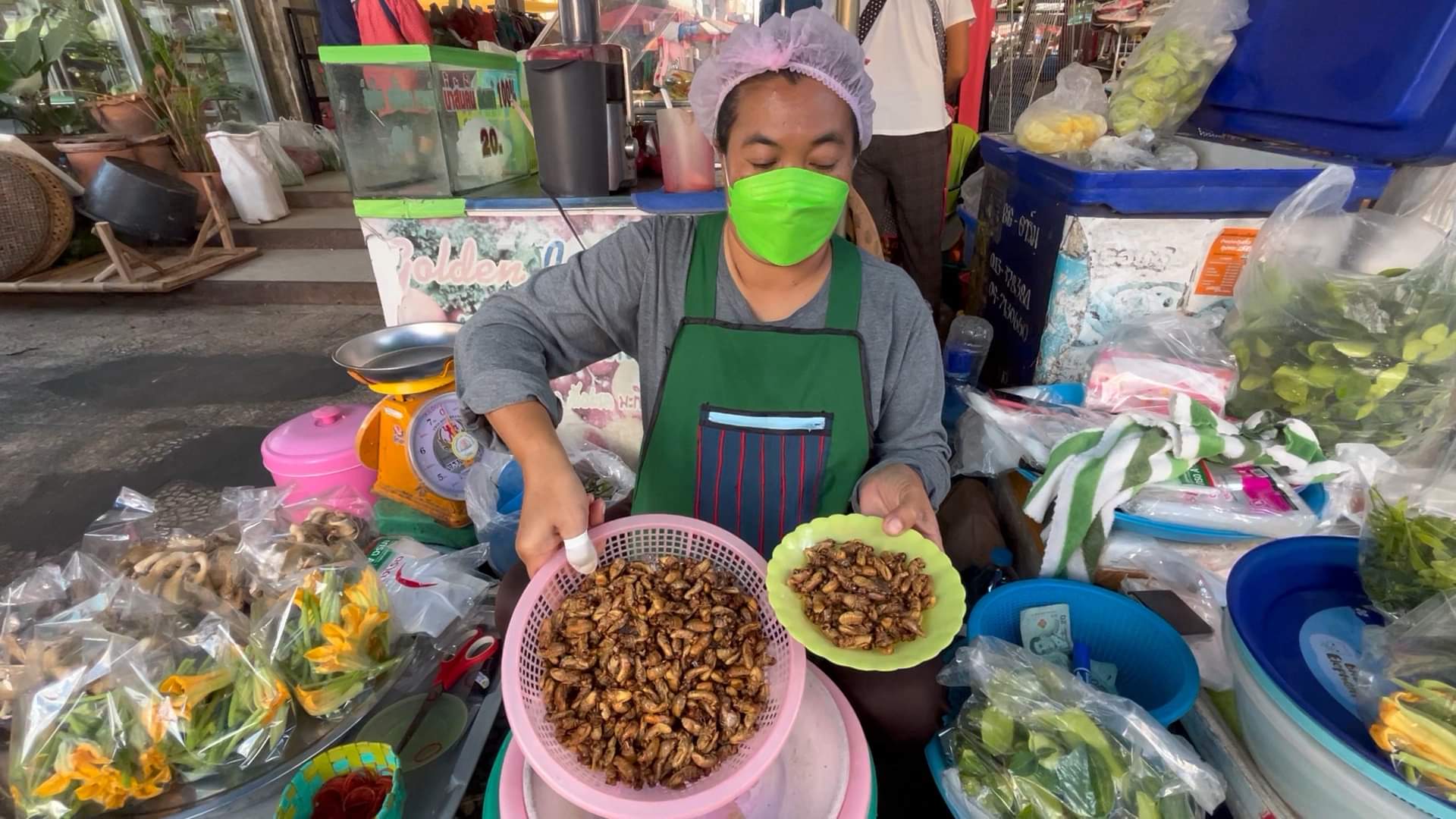 ต้องลอง!!"ตัวอ่อนจักจั่น"อาหารถิ่นชาวขอนแก่นให้ผลผลิตปีละครั้งราคาพุ่งกก.ละ 700 บาท