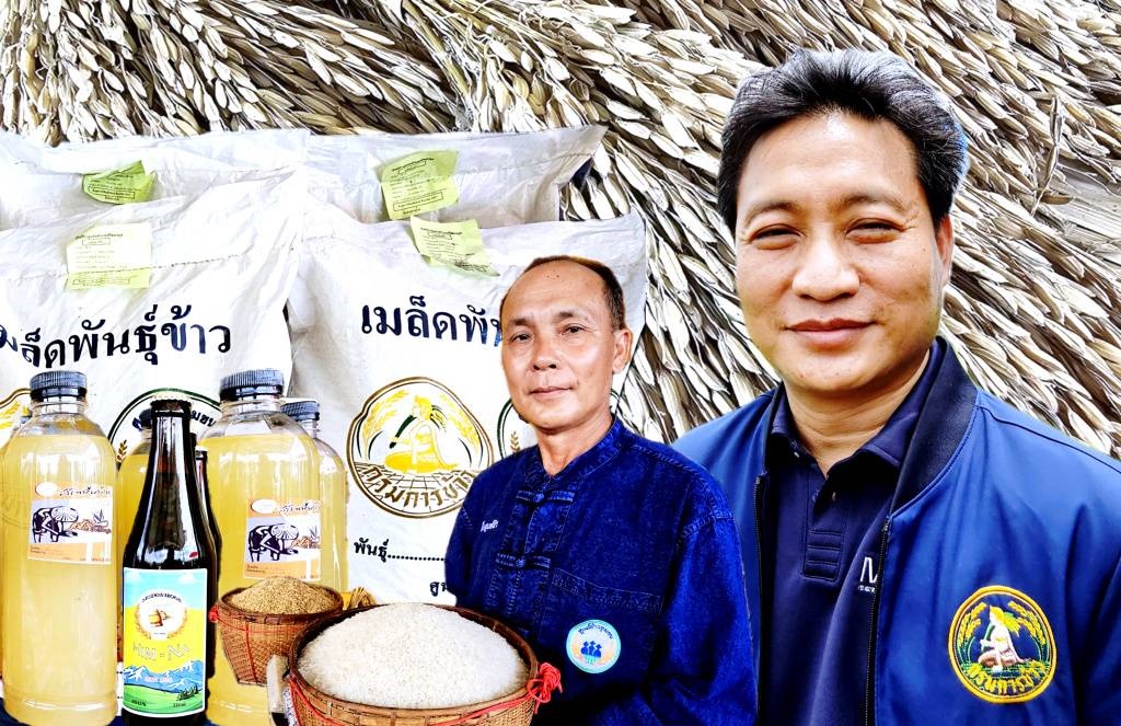 “ศูนย์ข้าวฯศรีดอนมูล” สุดยอดแปลงนาต้นแบบ ต่อยอดข้าวพื้นเมืองสู่ของดีประจำชุมชน “สุราฮิมนา” สร้างโลคอลซอฟต์พาวเวอร์