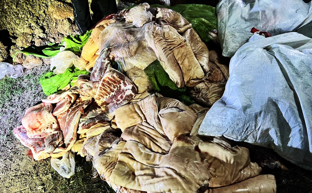 โรคร้ายแฝงกายมากับ “หมูเถื่อน” อย่าประมาท