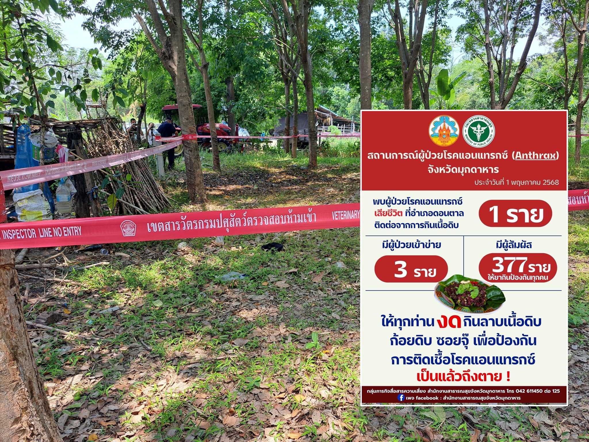 "สธ.มุกดาหาร"เตือนปชช.งดบริโภคเนื้อสัตว์ดิบ หลังพบผู้เสียชีวิต1รายจากโรคแอนแทรกซ์