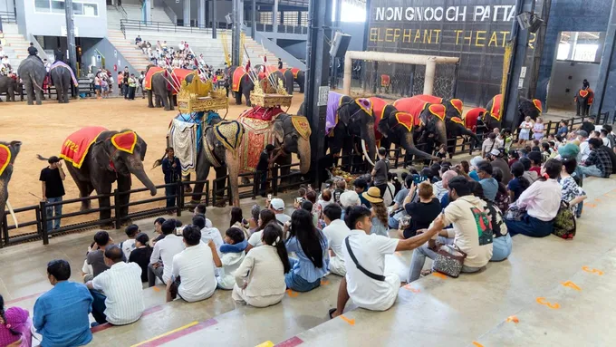 AP ชู “สวนนงนุชพัทยา” สะท้อนภาพใหม่พัทยา สู่ Family Destination