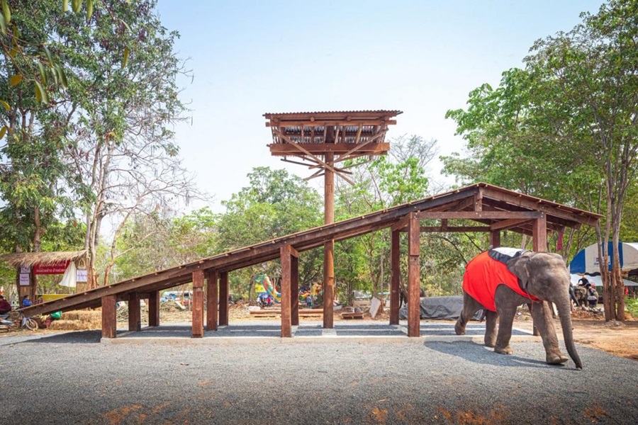 “บ้านคนบ้านช้าง” สร้างชื่อไทย ติดอันดับพาวิลเลียนน่าสนใจที่สุด เวนิสเบียนนาเล่ ครั้งที่17