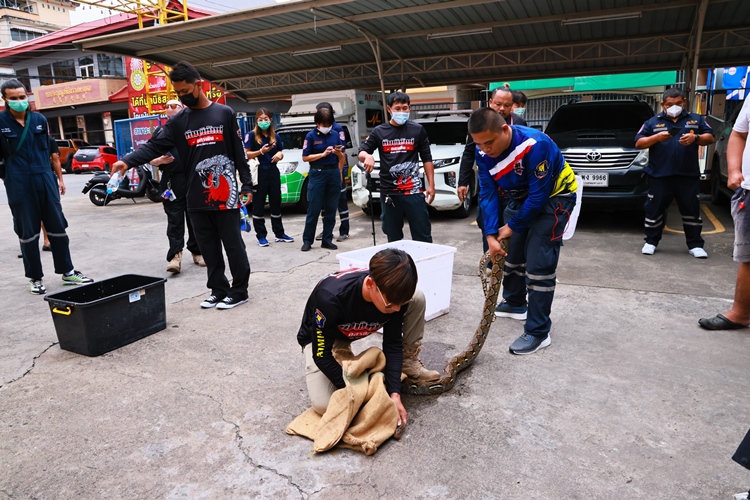 มูลนิธิสว่างพรกุศลระยอง ติวเข้ม จนท.ใช้อุปกรณ์จับ-ช่วยเหลือสัตว์อันตราย-บาดเจ็บ