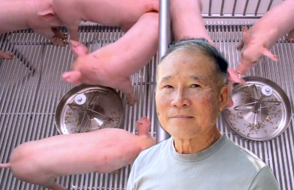 เกษตรกรทั่วประเทศ จับมือลดราคาหมูหน้าฟาร์ม ช่วยค่าครองชีพประชาชน ต่อเนื่องสัปดาห์ที่ 6 