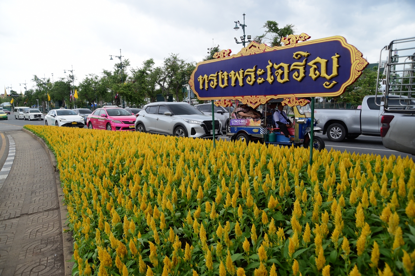กทม. ประดับตกแต่งภูมิทัศน์เมืองด้วยไม้ดอกไม้ประดับโทนสีเหลือง เนื่องในโอกาสเฉลิมพระชนมพรรษาในหลวง-พระราชินี