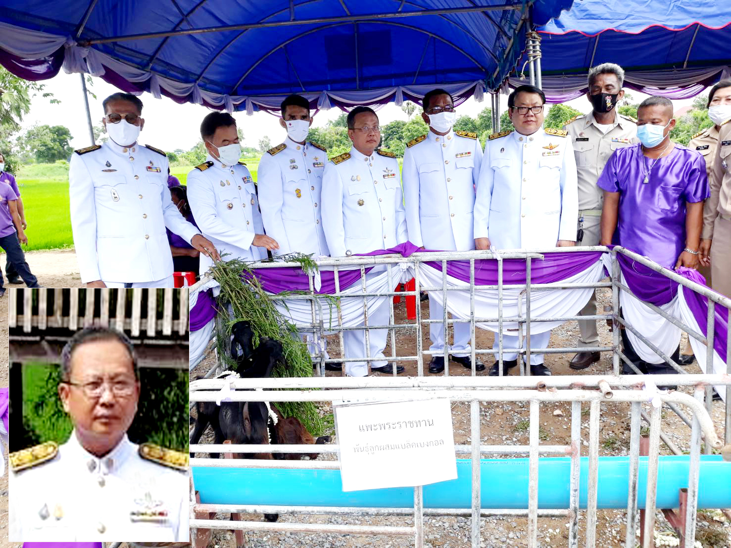 ปศุสัตว์ลพบุรี จัดพิธีรับมอบพันธุ์แพะพระราชทาน