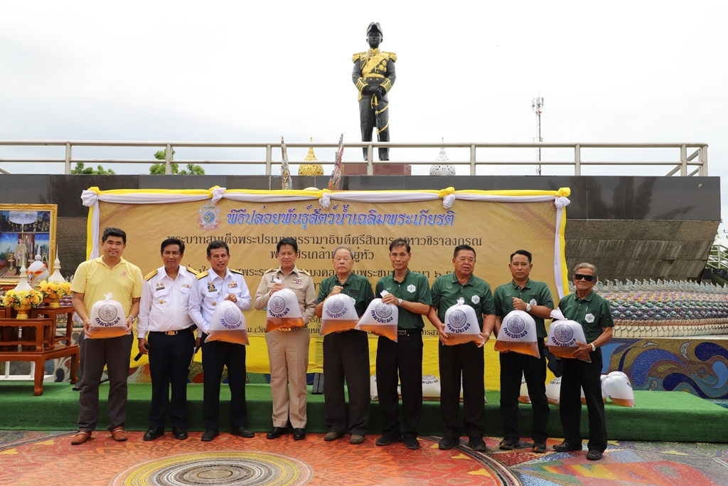ประมงมหาชัย จัดโครงการปล่อยลูกพันธุ์กุ้งกุลาดำ 1 ล้านตัว เพื่อเฉลิมพระเกียรติฯ