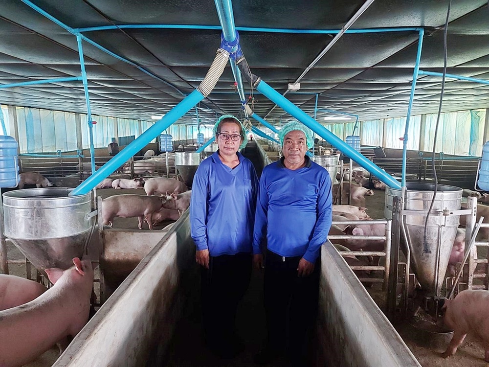 20 ปี “บุญเกิดฟาร์ม” บทพิสูจน์คอนแทรคฟาร์มเลี้ยงหมู พลิกชีวิต สร้างอาชีพมั่นคง  