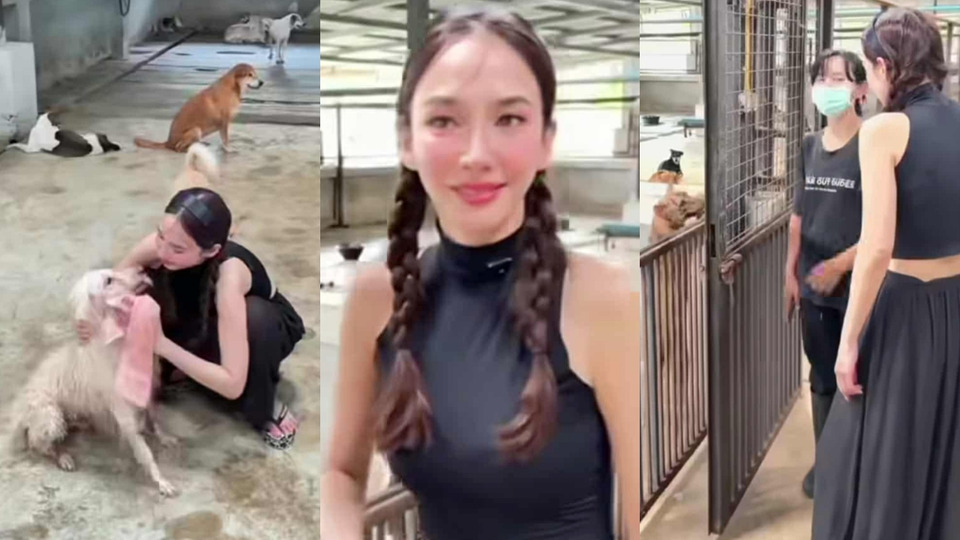 อบอุ่นหัวใจ!  "อั้ม พัชราภา" อาบน้ำให้น้องหมาจร เลี้ยงไว้ 130 ตัว