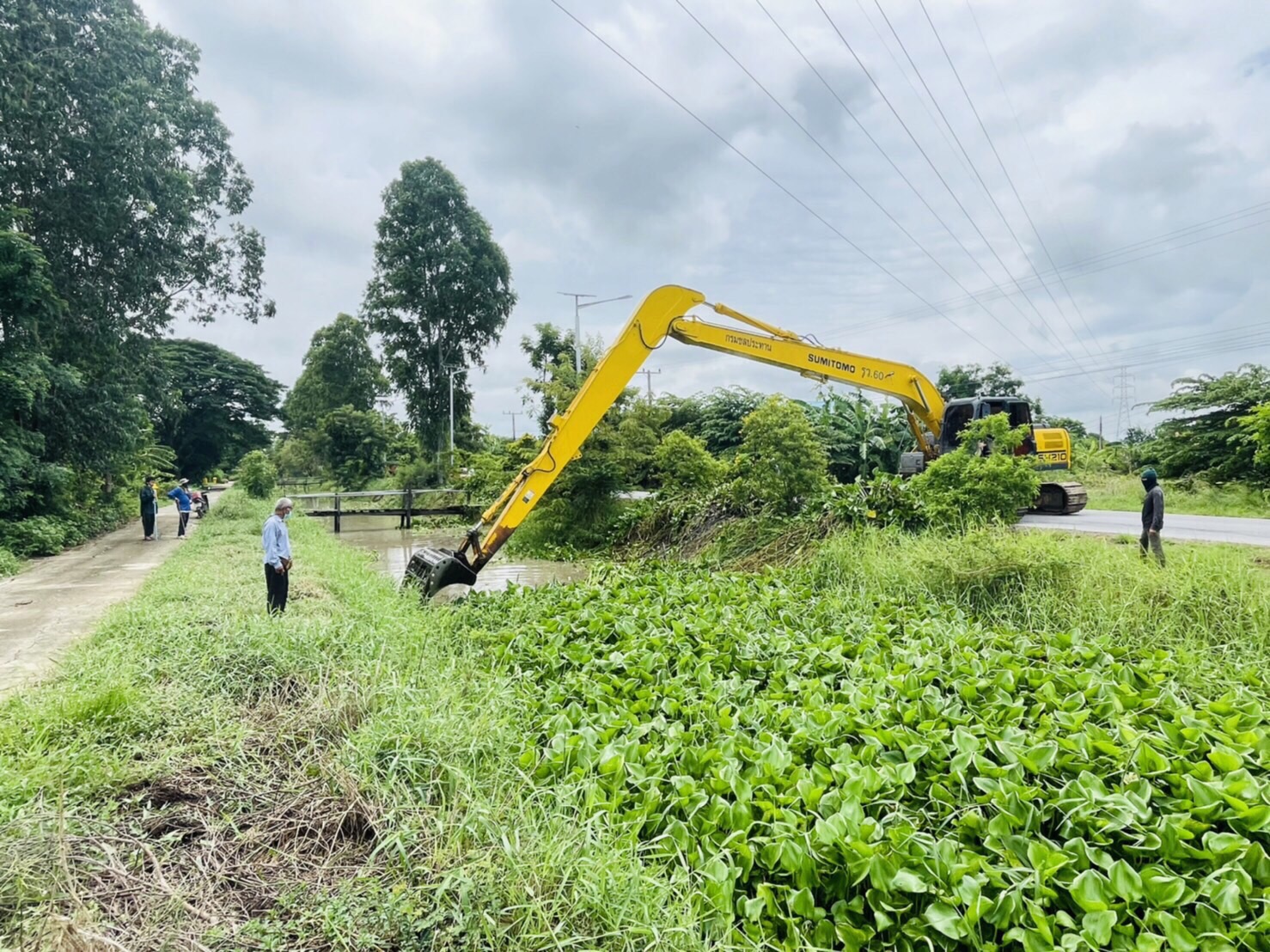 โครงการส่งน้ำและบำรุงรักษายางมณี เร่งดำเนินการกำจัดวัชพืชผักตบชวา 