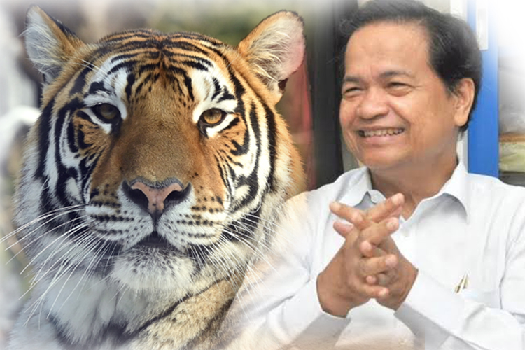 เสือทอง เสือไฟ เสือไม้ เสือโคร่ง เปิดตำราโหร ส่องดวงเมือง รอบ 30 ปีมีครั้ง“ดาวพระเสาร์เข้าราศีมังกร”