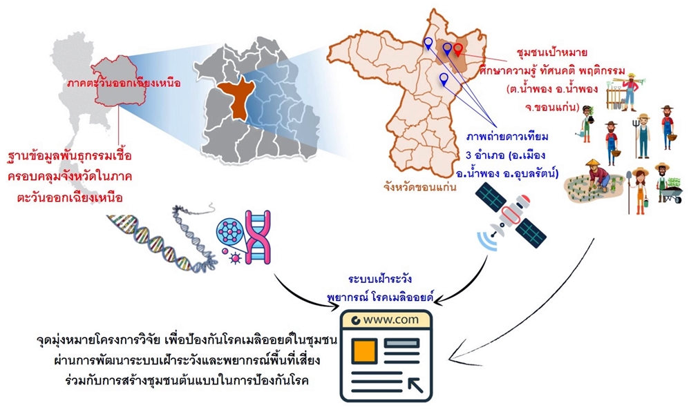วช.-มข.พัฒนาระบบเฝ้าระวัง-พยากรณ์-ผลิตภัณฑ์ลดเชื้อในดินฯ หวังลดอุบัติการณ์ "โรคเมลิออยด์"