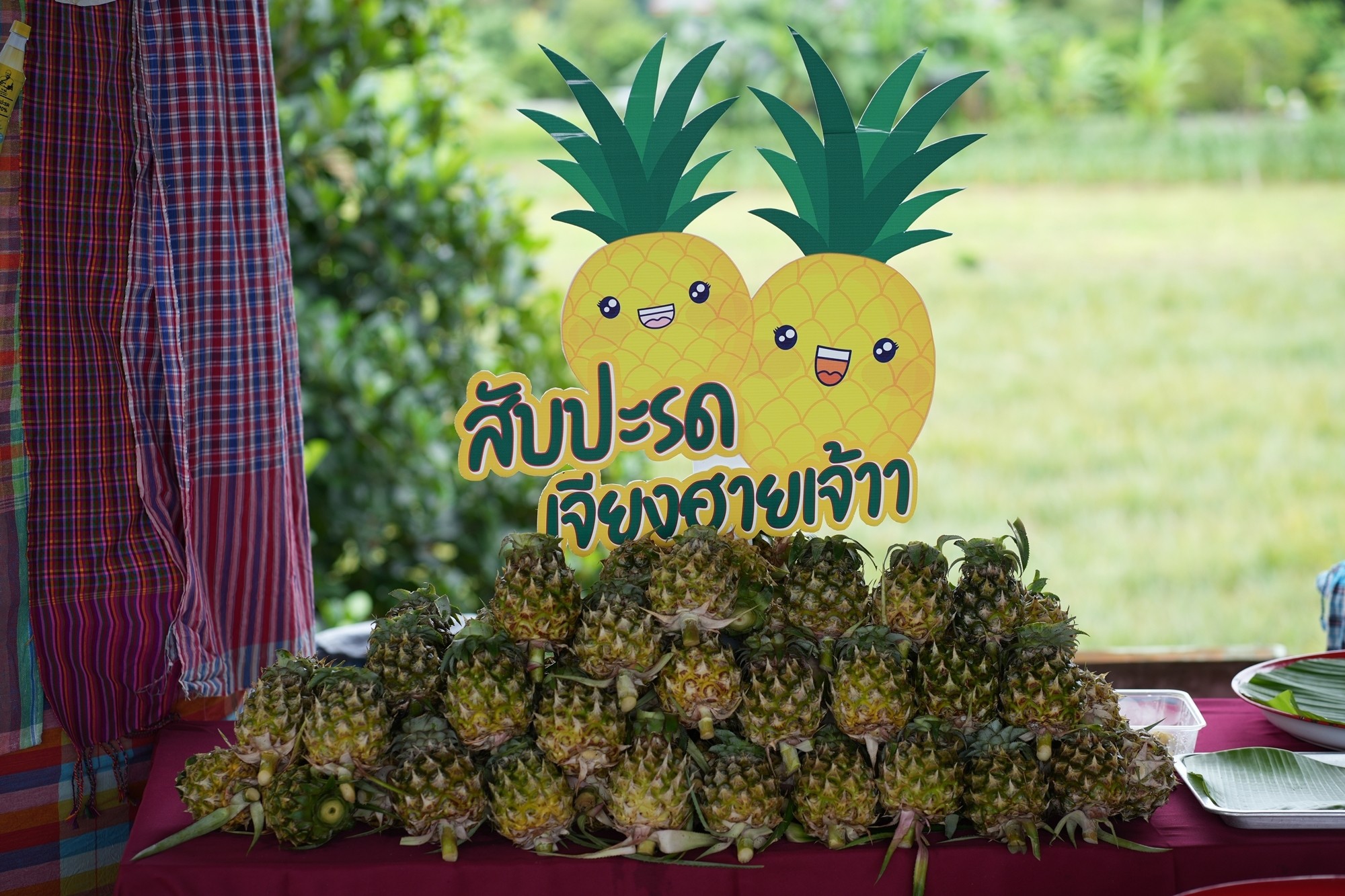 ปลัดกระทรวงพาณิชย์ เร่งขับเคลื่อน 9 ภารกิจสำคัญ ปี 2566