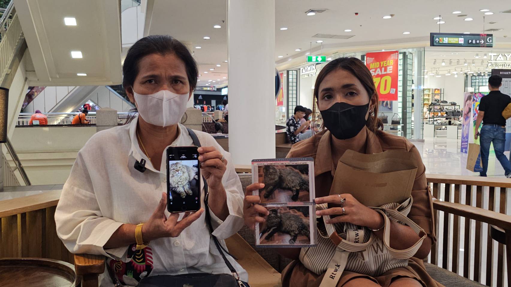 ปทุมธานีสาวร้อง!! นำแมวไปบริจาคเลือด หมอสูบเกินปริมาณที่ต้องการ แมวช็อคเสียชีวิต