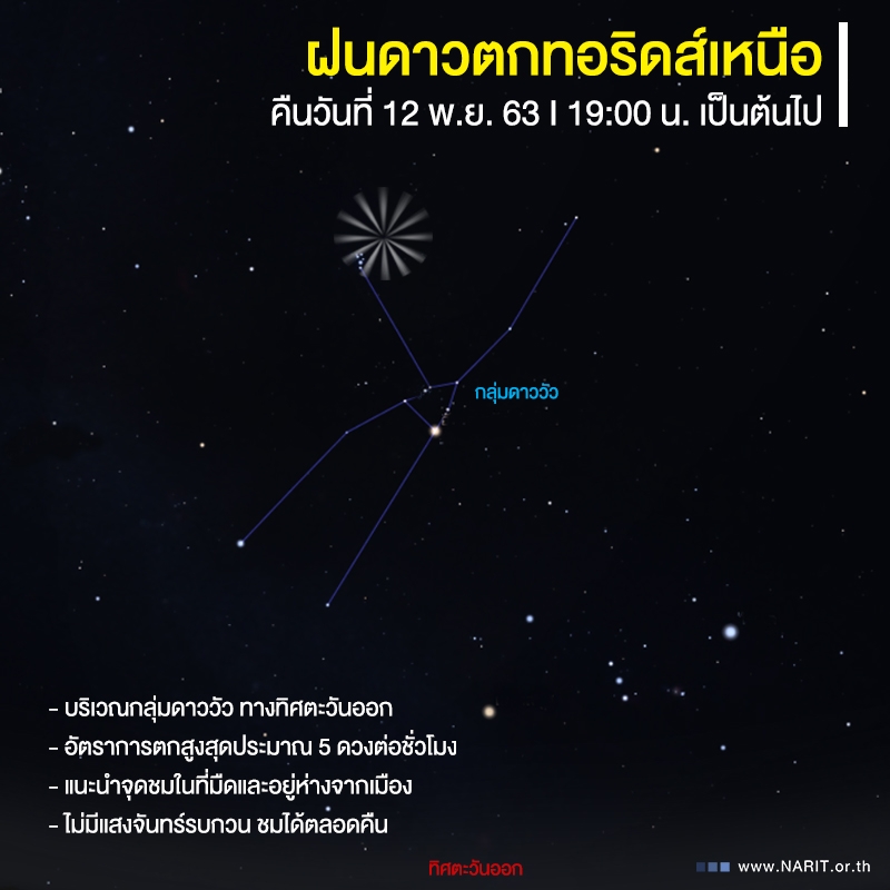 คืนพฤหัสฯนี้ ชวนชม “ฝนดาวตกทอริดส์เหนือ”