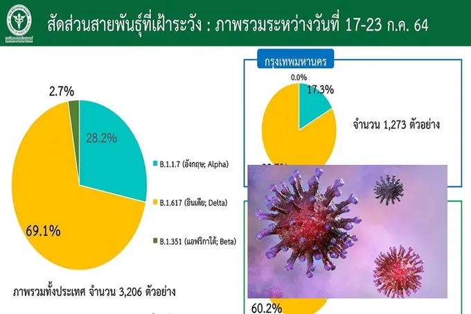 สายพันธุ์เดลตาระบาดแล้ว 72 จว.  กทม.82.7% 