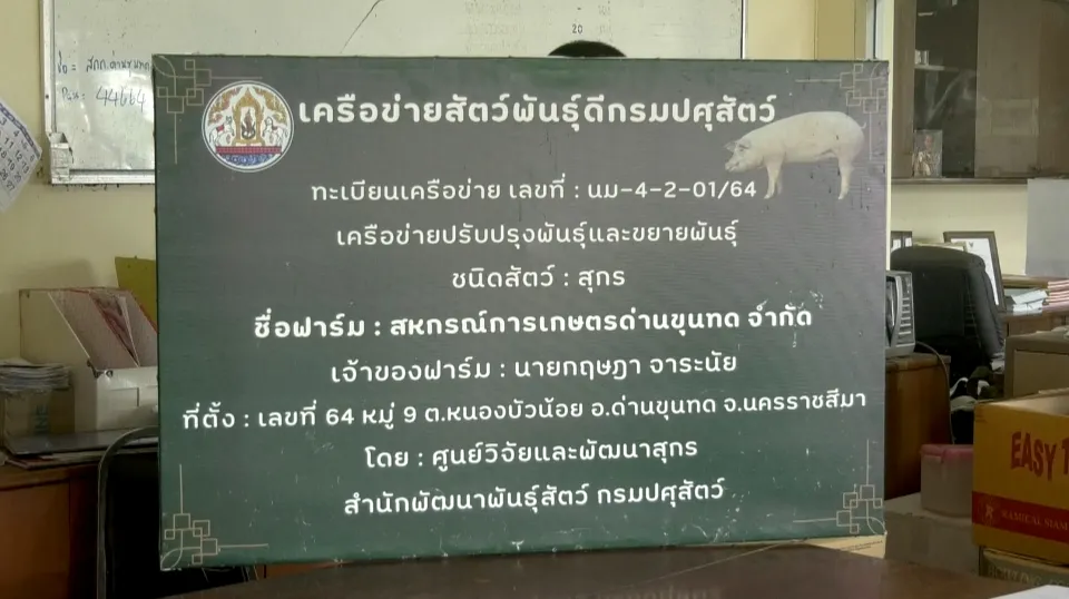 53