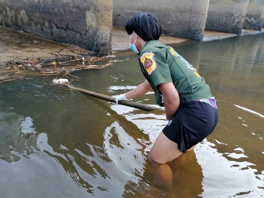 พบศพทารกเพศหญิงทิ้งลงคลองพังงา 