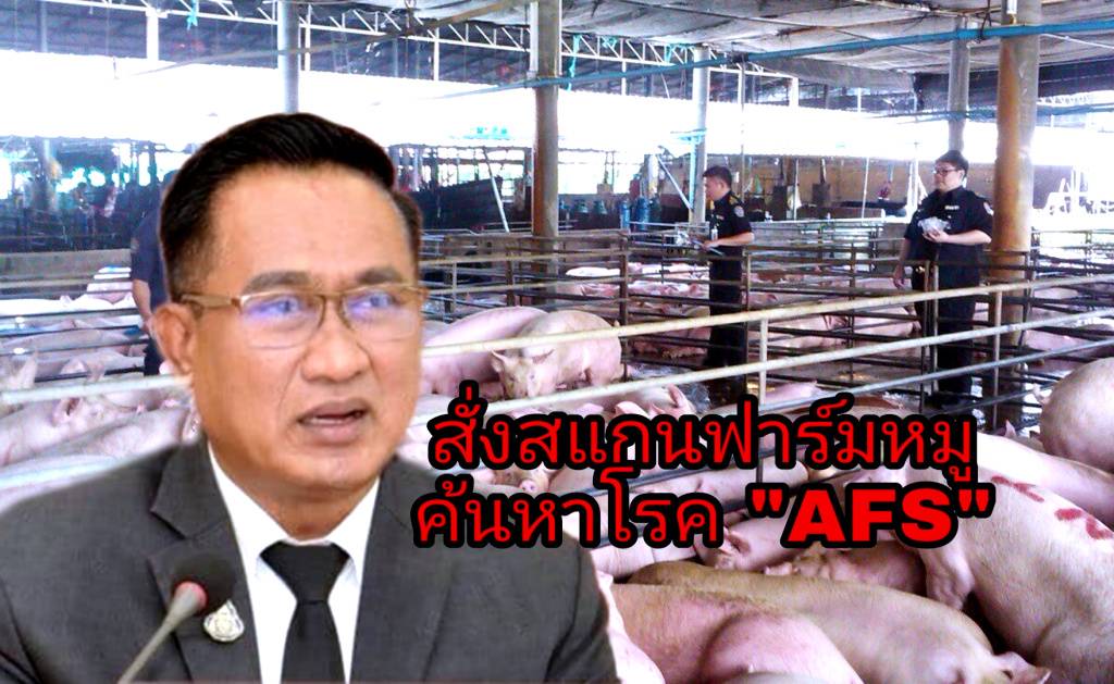 สั่งลุย!! ปศุสัตว์ ส่งหน่วยเฉพาะกิจฯ เร่งสแกนฟาร์มหมูทุกพื้นที่ ค้นหาโรค ASF 