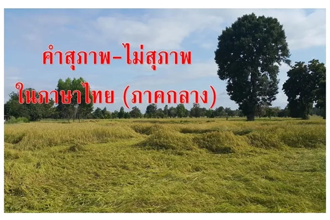 คำสุภาพ-ไม่สุภาพ ในภาษาไทย (ภาคกลาง)