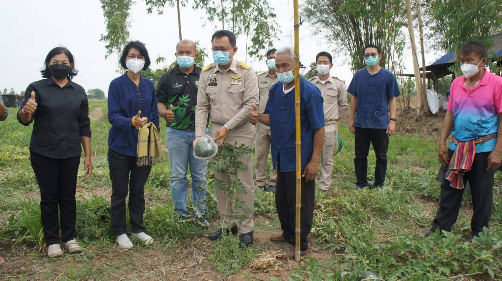 พ่อเมืองยโสธรลงพื้นที่เยี่ยมชมและส่งเสริมเกษตรกรทุ่งนาแตงโมอินทรีย์