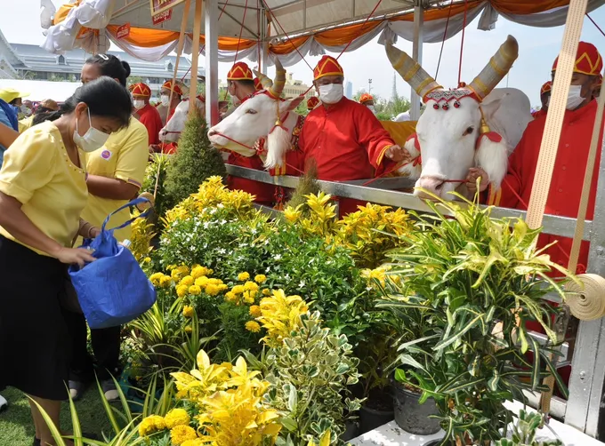 พระโคกินเหล้าศก.รุ่งเรือง