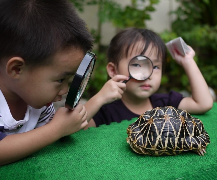 เปิดหลักสูตรการศึกษาปฐมวัย พ.ศ.2560