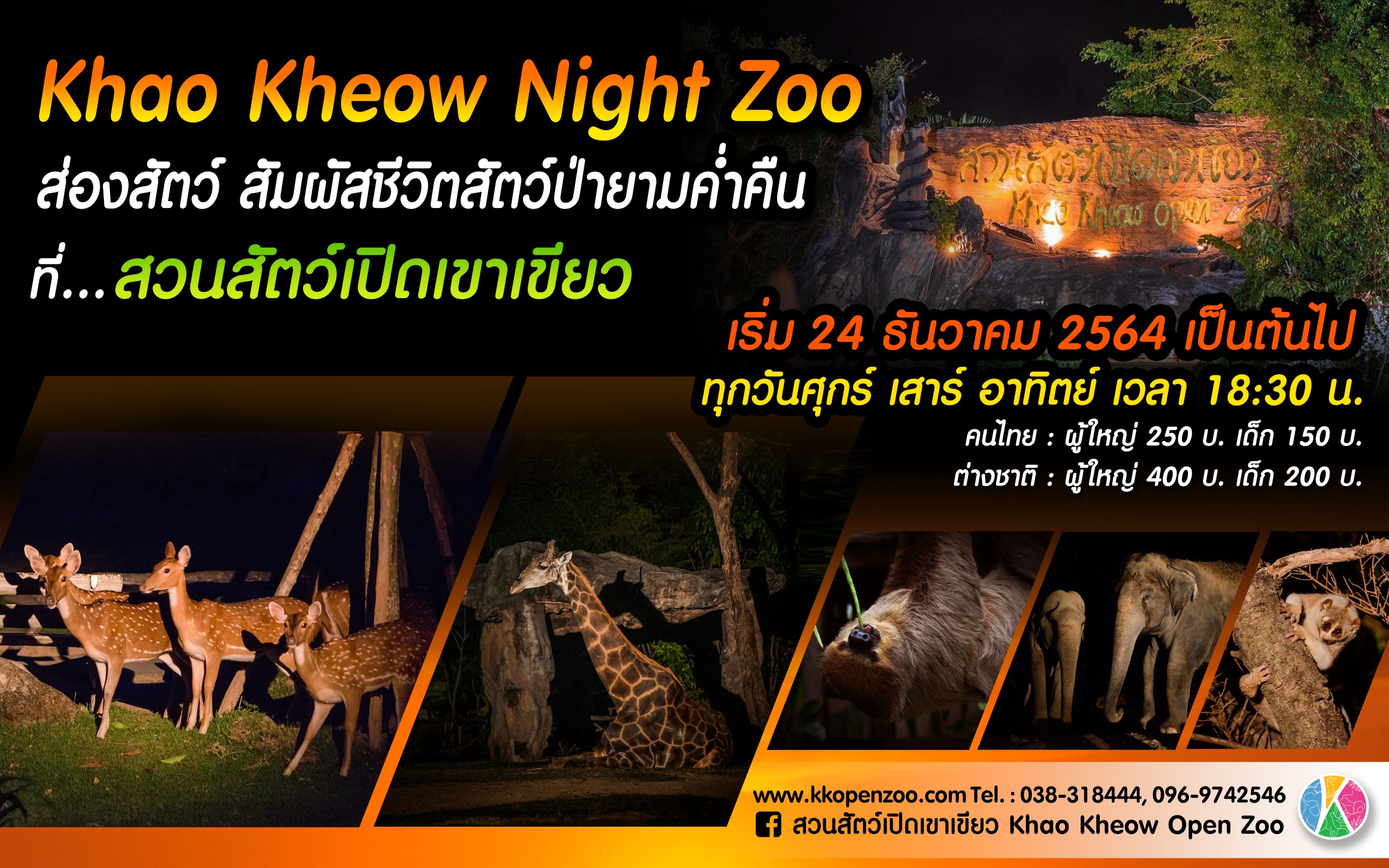 สวนสัตว์เปิดเขาเขียว ส่งความสุขต้อนรับปีใหม่  เที่ยวสวนสัตว์ยามค่ำคืน ภายใต้ชื่อ “Khao Kheow Night Zoo” 
