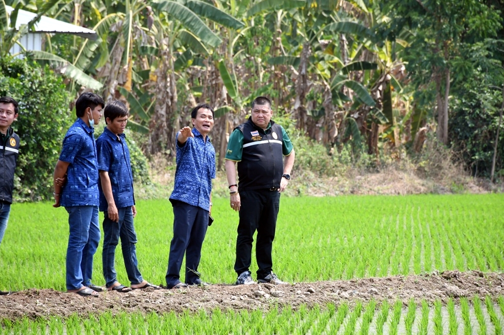 ลุยเอง!! "อธิบดีโจ" ชวนชาวนาพิจิตร-พิษณุโลกร่วม "BCG Model" ลดต้นทุนเพิ่มผลผลิตเป็นมิตรกับสิ่งแวดล้อม