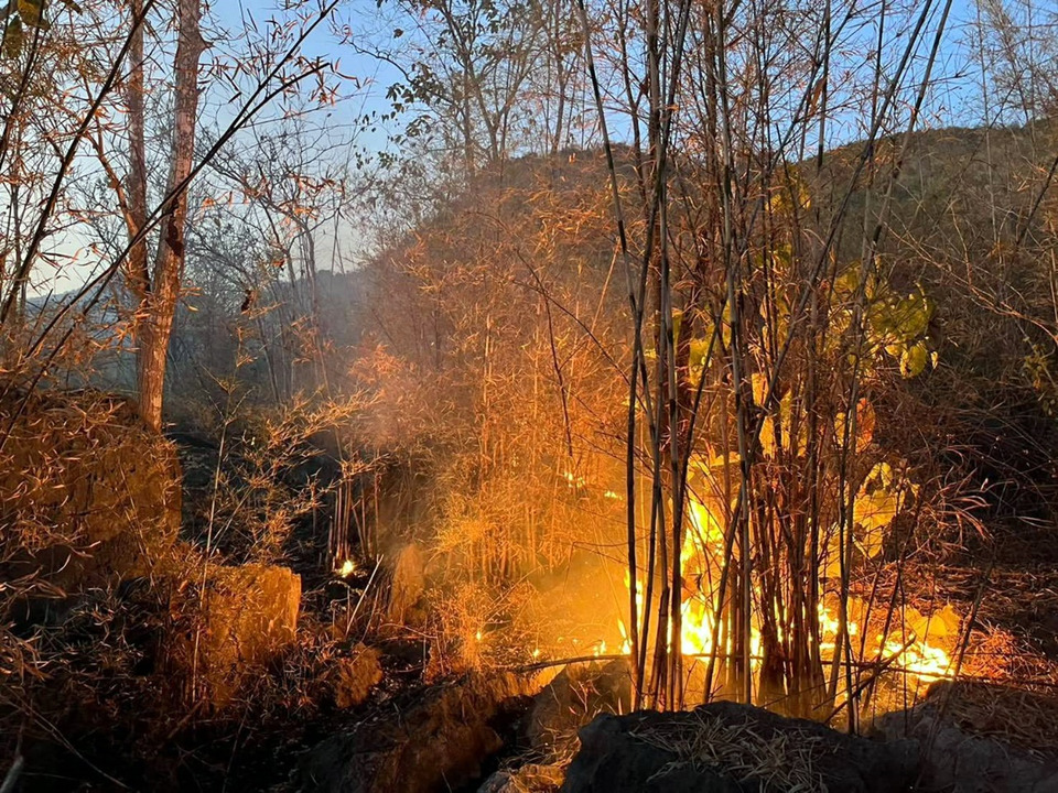 คดีแรกปี 69! แฉพรานป่าจุดไฟต้อนสัตว์ติดบ่วง อธิบดีกรมอุทยานฯ สั่งล่าตัวด่วน
