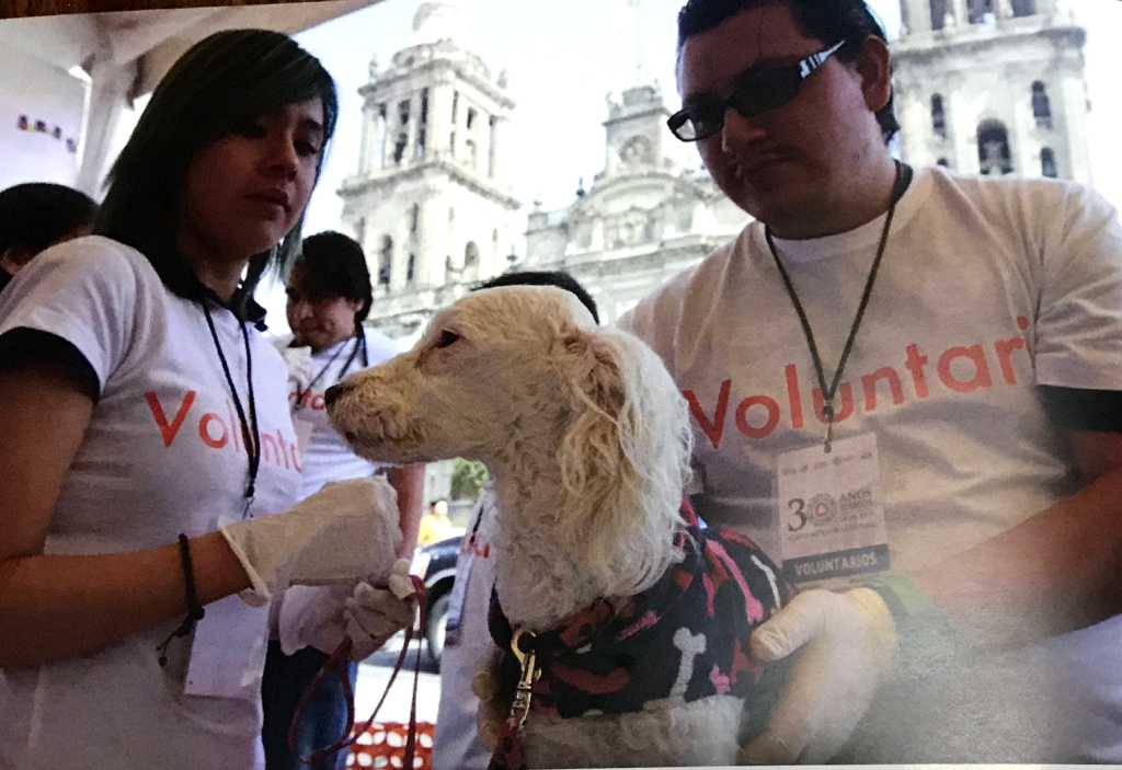 องค์กรพิทักษ์สัตว์ฯ ร่วมรณรงค์ "World Rabies Day" หนุนสวัสดิภาพสัตว์ป้องกันโรคสัตว์สู่คน