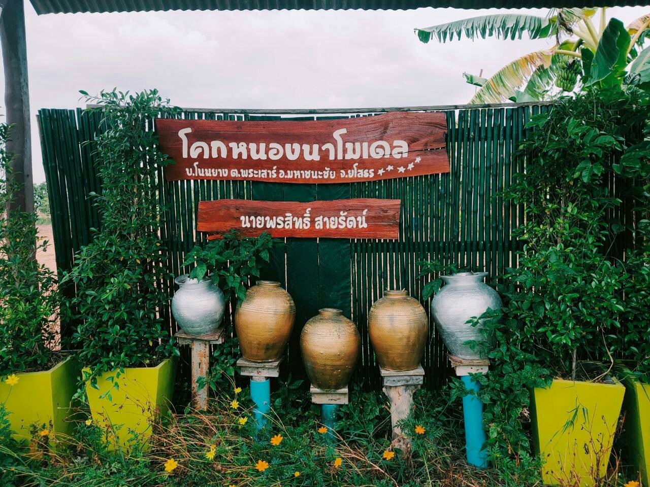 พื้นที่เรียนรู้ชุมชนต้นแบบการพัฒนาคุณภาพชีวิต  "โคก หนอง นา" พช.ยโสธร ช่วงวิกฤตโควิด-19