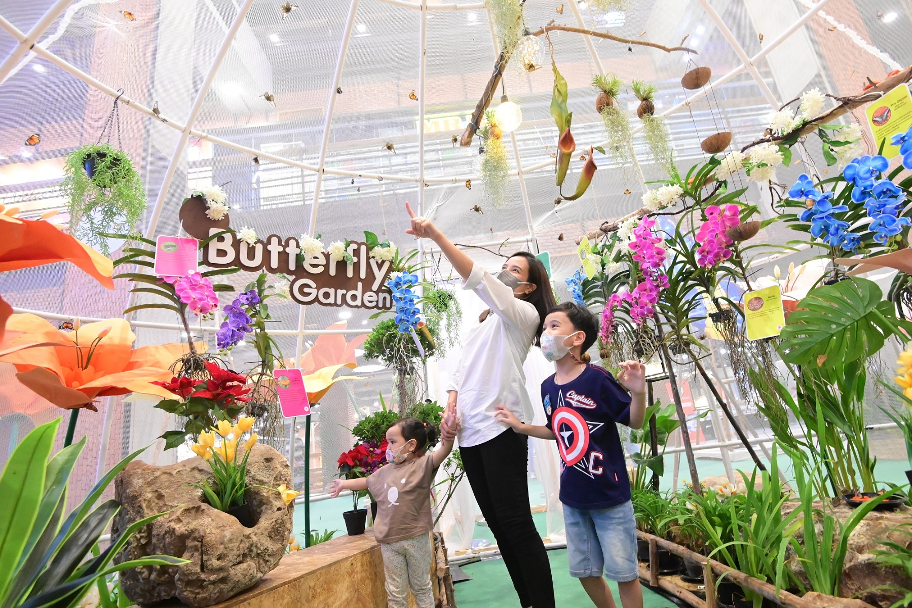 “เดอะ สตรีท รัชดา” จัดกิจกรรม “Butterfly & Animal Camping”  สัมผัสผีเสื้อนานาชนิดและสัตว์แสนน่ารัก