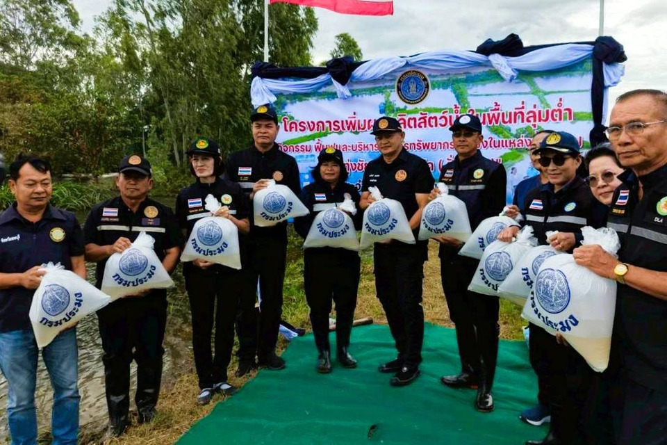 ประมงลพบุรีปล่อยลูกพันธุ์ปลา 15.1 ล้านตัว ฟื้นระบบนิเวศทุ่งชัยนาท–ป่าสัก หลังน้ำหลาก