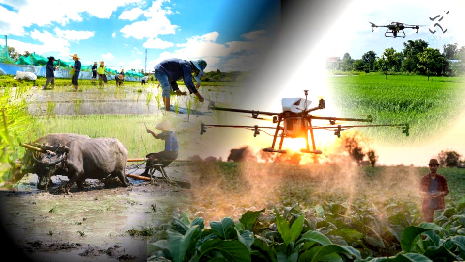 เกษตรมูลค่าสูง: อาวุธใหม่ของเกษตรกรไทยในการเผชิญกับความท้าทายระดับโลก