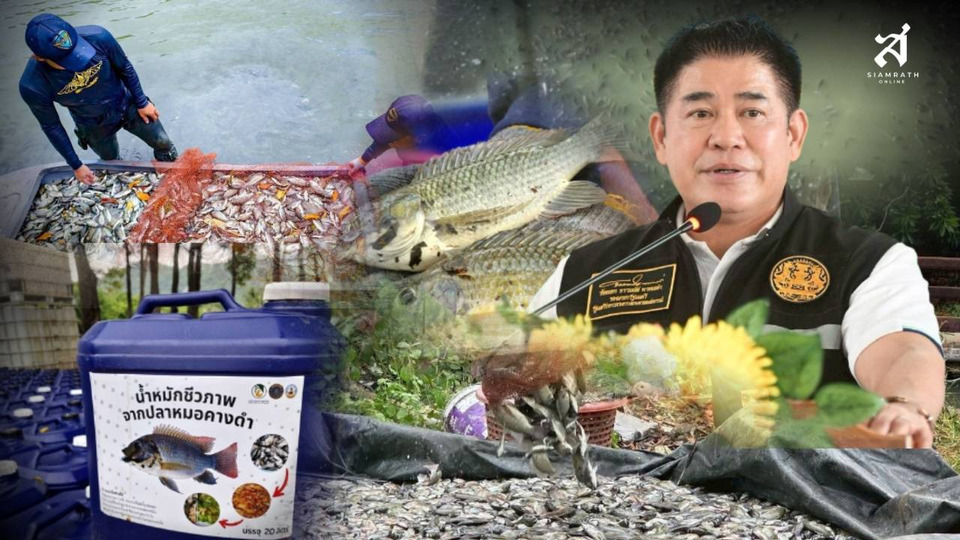 ประกาศสงคราม! ปราบปลาหมอคางดำ “ถ้าไม่หมด ก็จะไม่เลิกกำจัด”