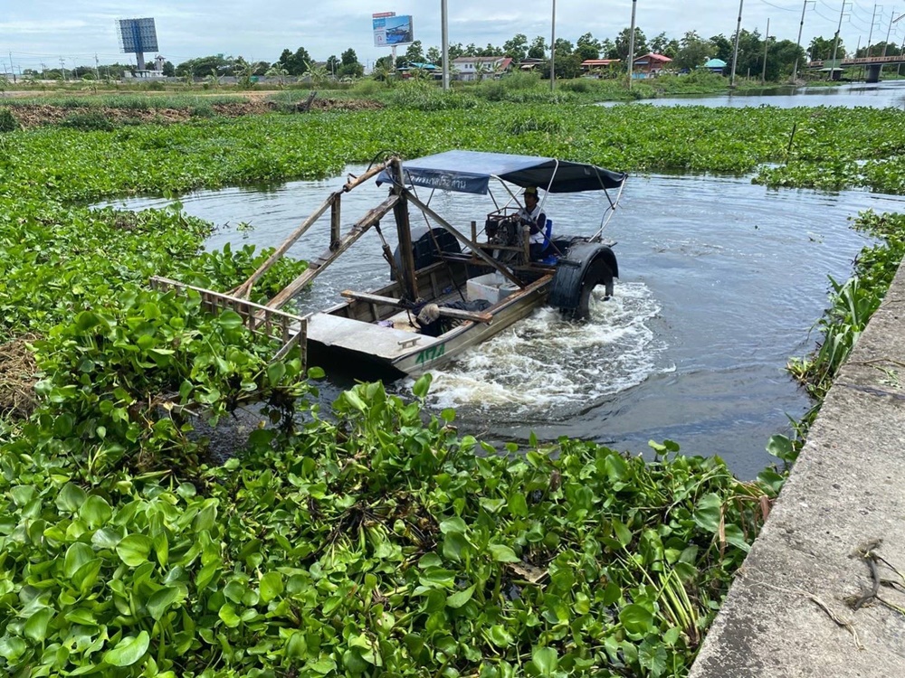 โครงการส่งน้ำฯชลหารพิจิตร จัดเก็บวัชพืชบริเวณหน้าสถานีสูบน้ำประเวศบุรีรมย์ เพิ่มประสิทธิภาพการระบายน้ำ