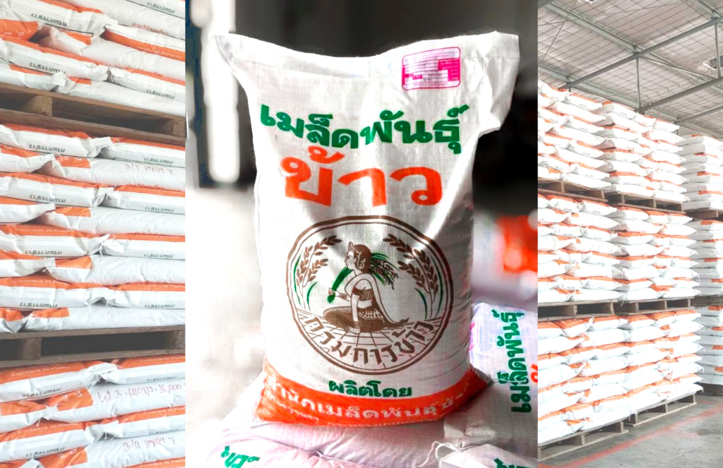 ศมข.กำแพงเพชร หนุนเมล็ดพันธุ์ข้าวคุณภาพ มาตรฐาน กระจายสู่เกษตรกรในราคาย่อมเยา