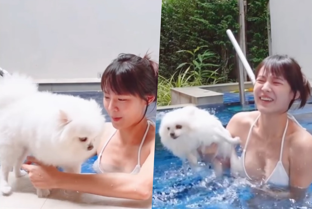 "แพทตี้" พาน้องหมาเล่นน้ำแต่ทำหนุ่มๆหลุดโฟกัส